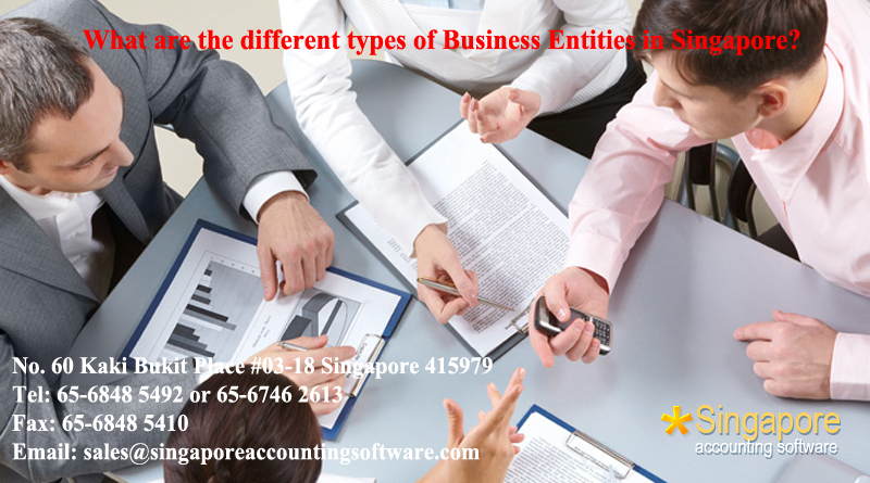 What are the different types of Business Entities in Singapore